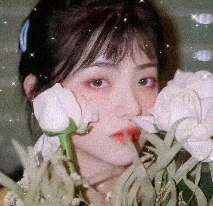 狐狸女士第二季